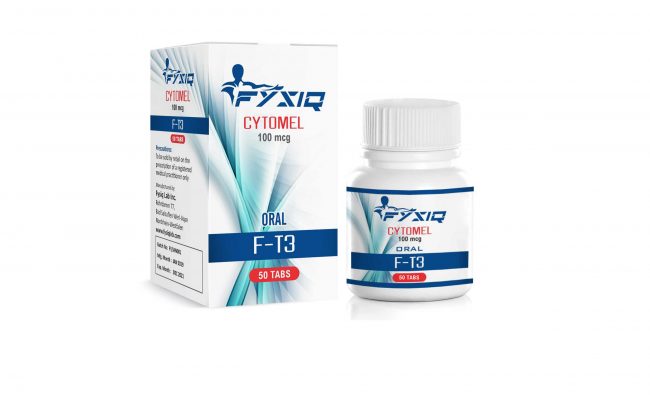 cytomel 100 mcg 50 tabs,f t3,buy fysiqlab inc cytomel 100 mcg 50 tabs online,buy fysiqlab inc cytomel 100 mcg 50 tabs,buy fysiqlab cytomel 100 mcg 50 tabs,buy cytomel 100 mcg 50 tabs,buy fysiqlab inc f t3 online,buy fysiqlab inc f t3,buy fysiqlab f t3 online,buy f t3 online,